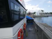 เรือสองลำ (Catamaran) สำหรับขาย