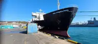 Ro-Ro ship สำหรับขาย