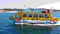 เรือเฟอร์รี่ สำหรับขาย