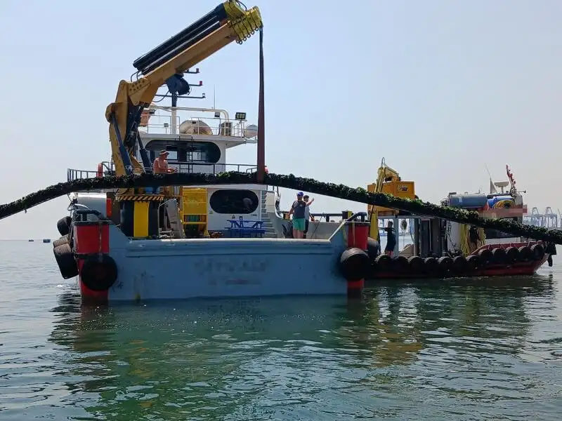 เรือทำงาน สำหรับขาย
