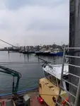 เรือลากอวน สำหรับขาย