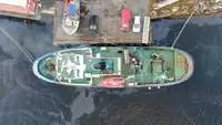 เรือลาก สำหรับขาย