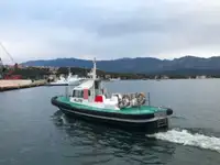 เรือนำร่อง สำหรับขาย