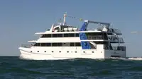 เรือสองลำ (Catamaran) สำหรับขาย