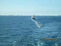เรือบรรทุกสินค้าทั่วไป (Bulk Carrier) สำหรับขาย