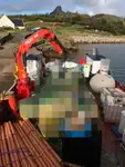 เรือทำงาน สำหรับขาย