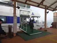เรือสองลำ (Catamaran) สำหรับขาย