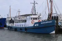 เรือ สำหรับขาย