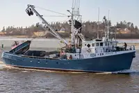 Purse seiner สำหรับขาย