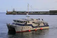 เรือสำรวจ สำหรับขาย