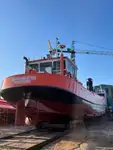 เรือขุด สำหรับขาย