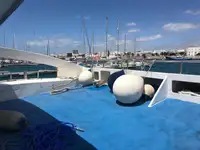 เรือสองลำ (Catamaran) สำหรับขาย