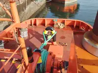 เรือลาก สำหรับขาย