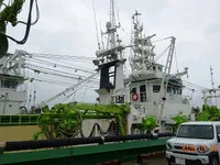 เรือลากอวนจับปลา สำหรับขาย