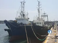 เรือลากอวน สำหรับขาย