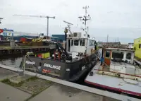 เรือทำงาน สำหรับขาย