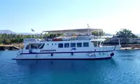 เรือสองลำ (Catamaran) สำหรับขาย
