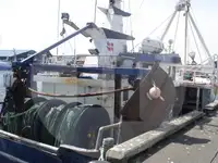 เรือบรรทุกปลาเป็น สำหรับขาย