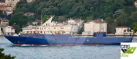 Ro-Ro ship สำหรับขาย