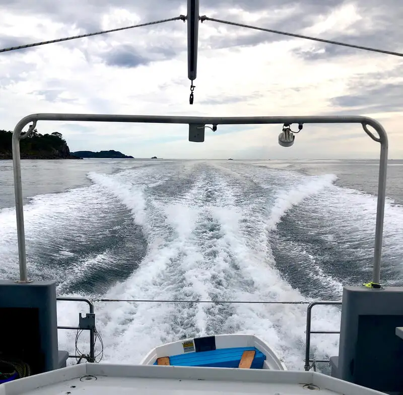 เรือวิจัย สำหรับขาย
