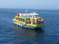 เรือเฟอร์รี่ สำหรับขาย