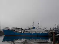 เรือบรรทุกสินค้าทั่วไป (Bulk Carrier) สำหรับขาย