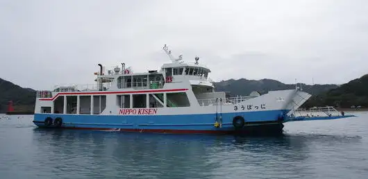 เรือบรรทุกสินค้าแบบ Ro-Ro สำหรับขาย