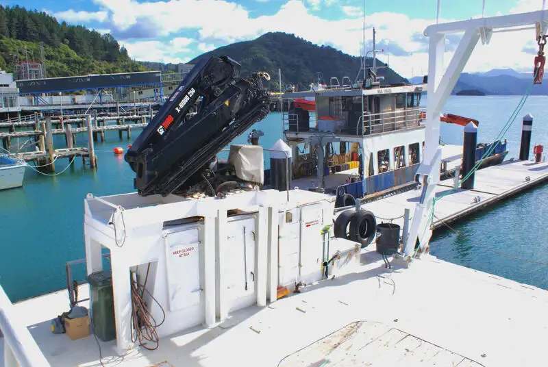 เรือสองลำ (Catamaran) สำหรับขาย