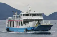 เรือบรรทุกสินค้าแบบ Ro-Ro สำหรับขาย