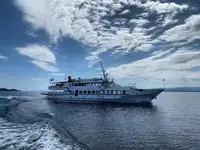 เรือสำราญ สำหรับขาย
