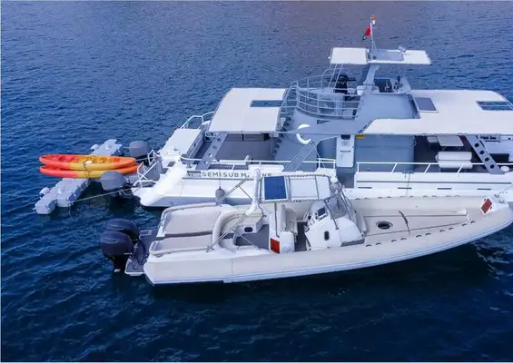 Catamaran for sale