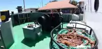 เรือลาก สำหรับขาย