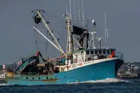 Purse seiner สำหรับขาย