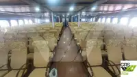 เรือบรรทุกสินค้าแบบ Ro-Ro สำหรับขาย