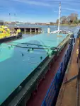 เรือบรรทุกสินค้าทั่วไป (Bulk Carrier) สำหรับขาย