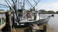 Trawler สำหรับขาย