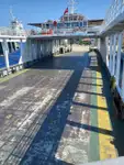 เรือเฟอร์รี่ สำหรับขาย