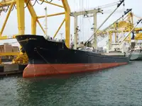 เรือบรรทุกสินค้าทั่วไป (Bulk Carrier) สำหรับขาย