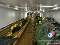 เรือลากอวน สำหรับขาย