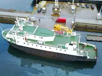 เรือบรรทุกสินค้าแบบ Ro-Ro สำหรับขาย