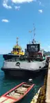 เรือลาก สำหรับขาย