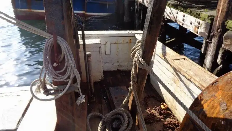 เรือลากอวน สำหรับขาย