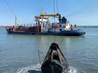เรือขุด สำหรับขาย