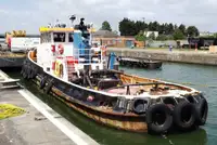 เรือโยง สำหรับขาย