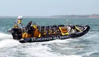 เรือพองแข็ง สำหรับขาย