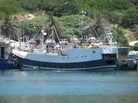 เรือลากอวนแบบ Longliner สำหรับขาย