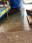 เรือบรรทุกสินค้าแบบ Ro-Ro สำหรับขาย