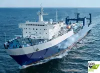 Ro-Ro ship สำหรับขาย