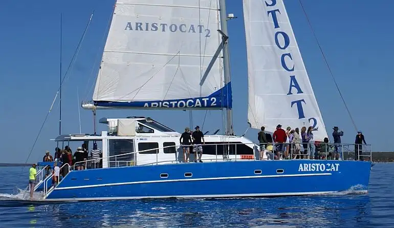 เรือสองลำ (Catamaran) สำหรับขาย