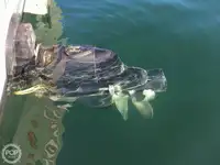 เรือลากอวน สำหรับขาย